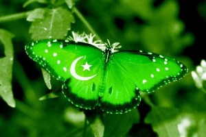 Download Pakistan Independence Azadi HD Wallpapers