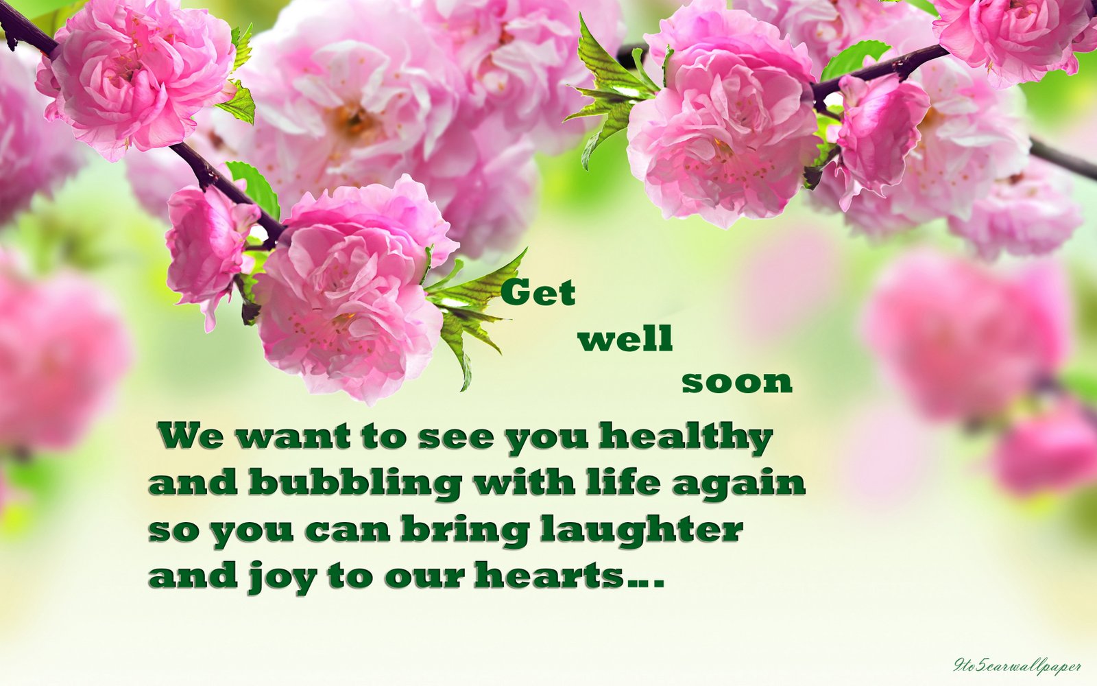 Get Well Soon Latest Quotes Pics Images Wallpapers 9to5 Car 